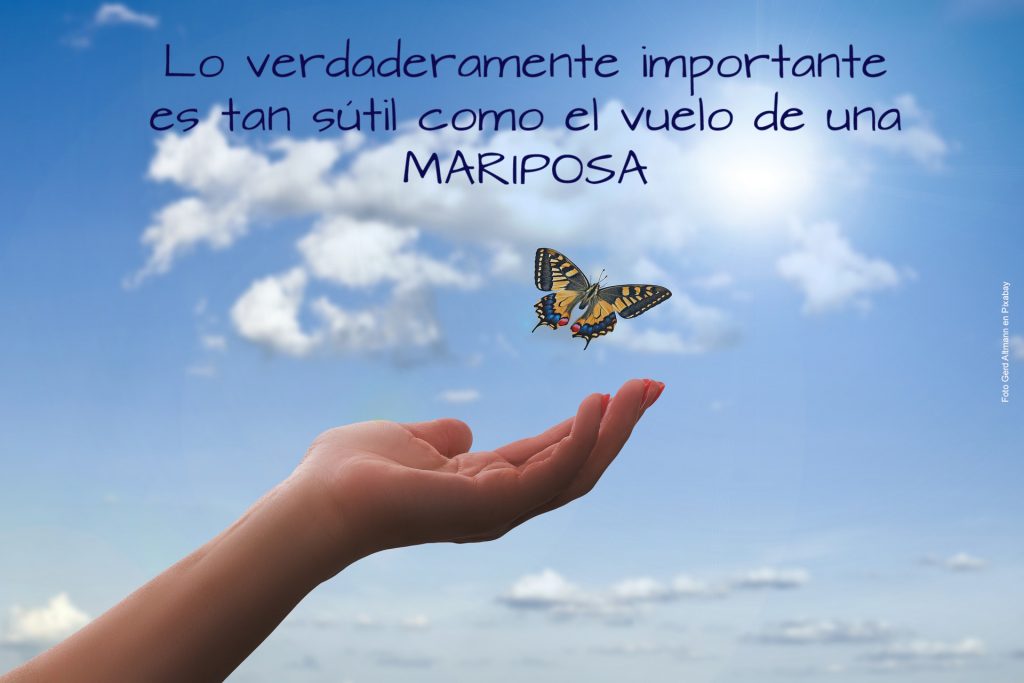 Lo verdaderamente importante