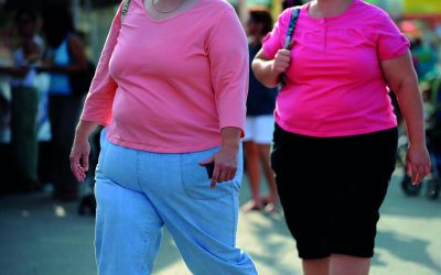 Alimentación y estrés